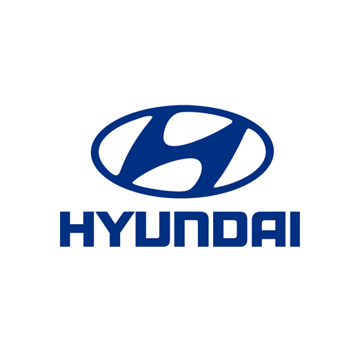 Hyunday Intelisis DMS