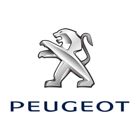 Peugeot Intelisis DMS